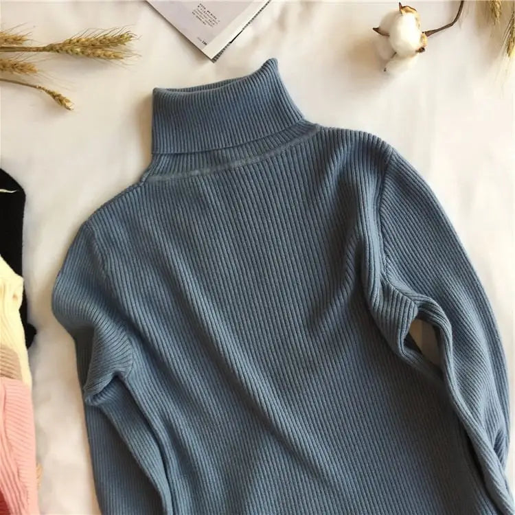 Ribbed turtleneck sweater Arsh