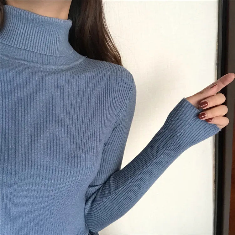 Ribbed turtleneck sweater Ashe
