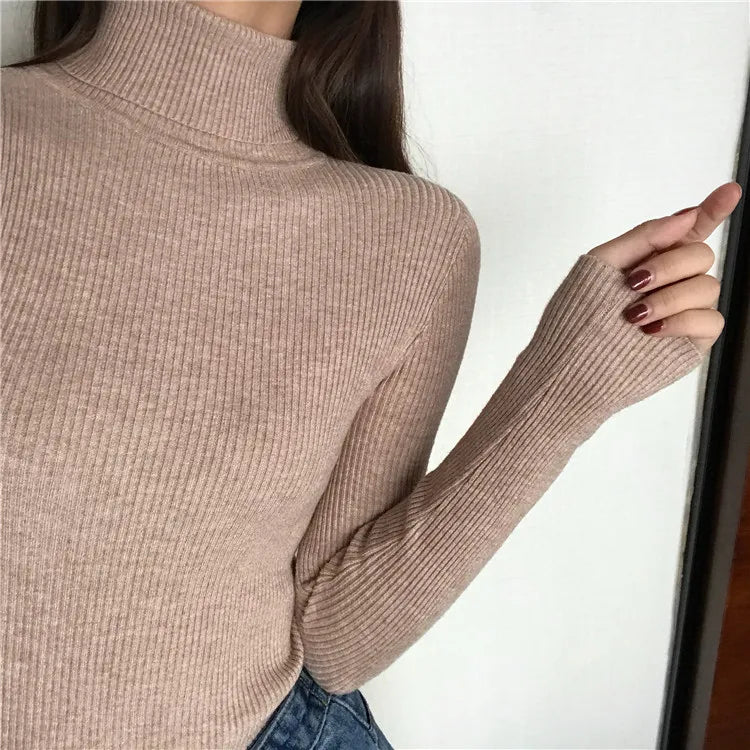Ribbed turtleneck sweater brown