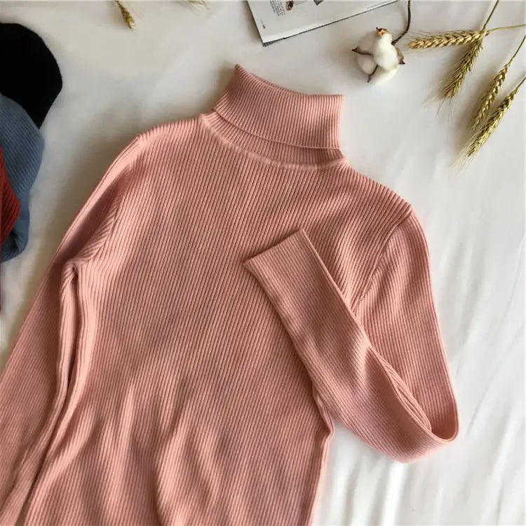 Ribbed turtleneck sweater pitch