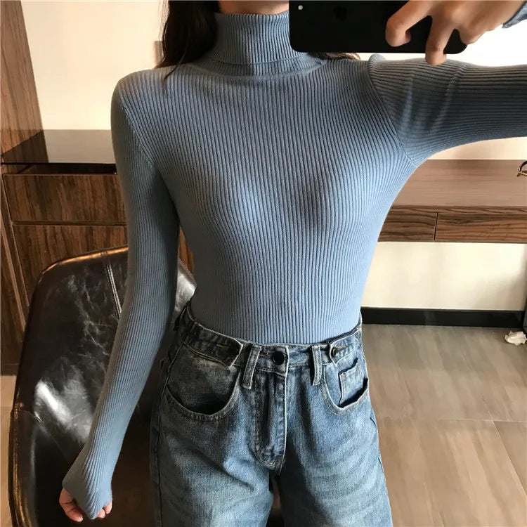 Ribbed turtleneck sweater Ashe