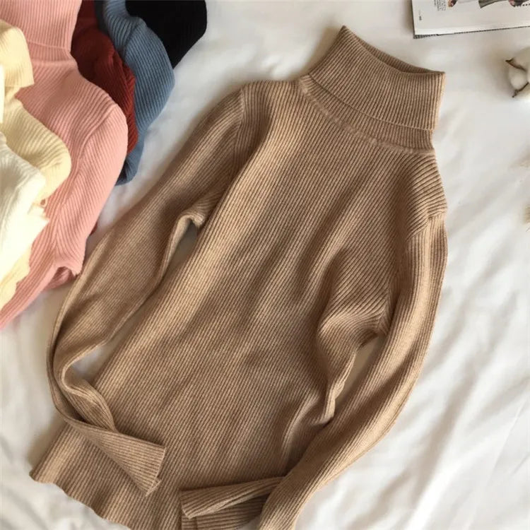Ribbed turtleneck sweater Brown