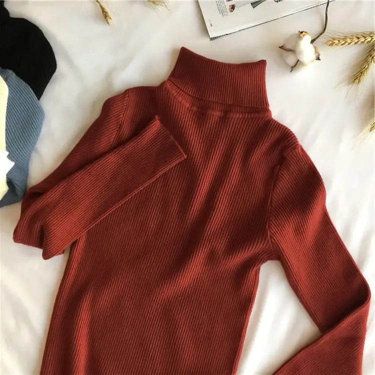 Ribbed turtleneck sweater  wine