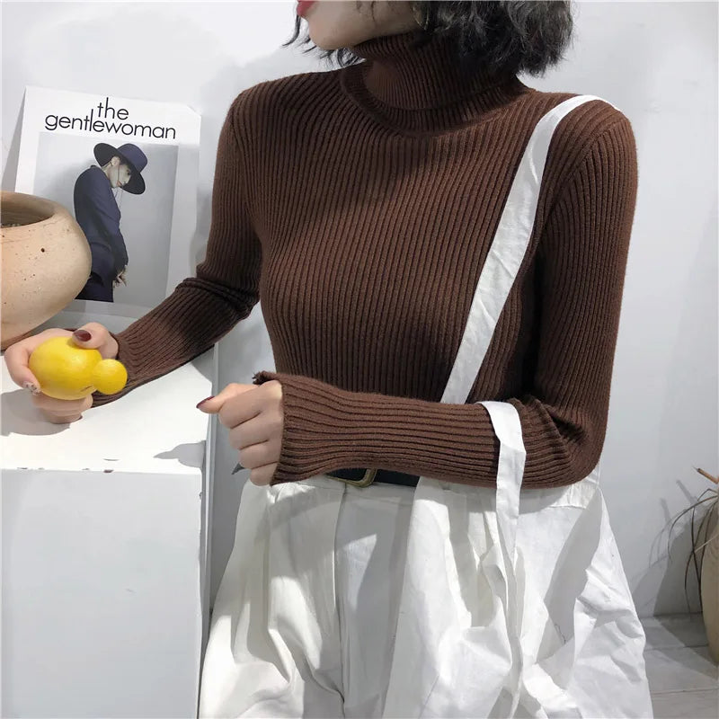 Ribbed turtleneck sweater brown