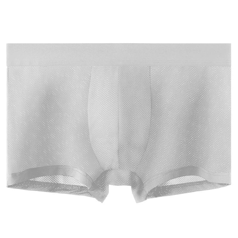 Men's ice silk mesh boxer briefs worn model