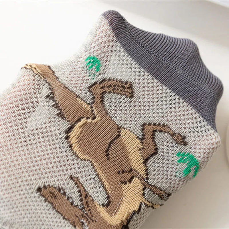Boys dinosaur socks size variety display