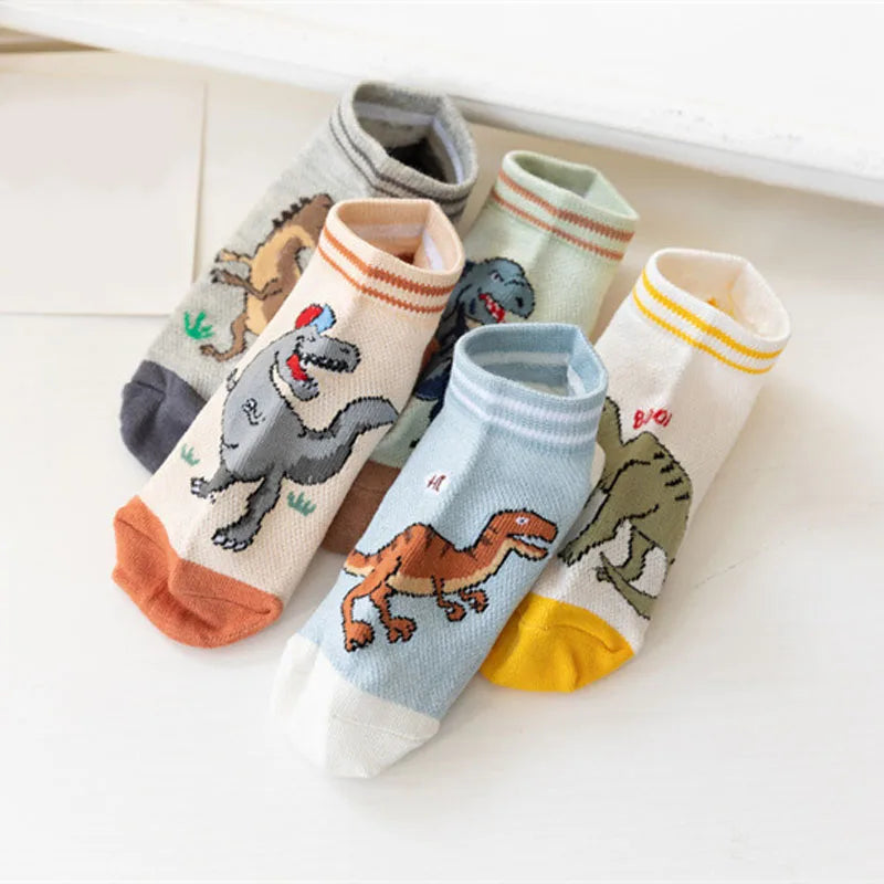 Boys dinosaur socks size variety display