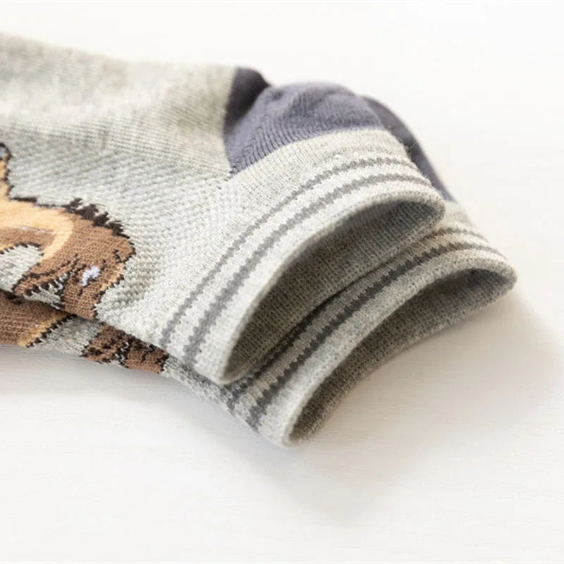 Boys dinosaur socks size variety display