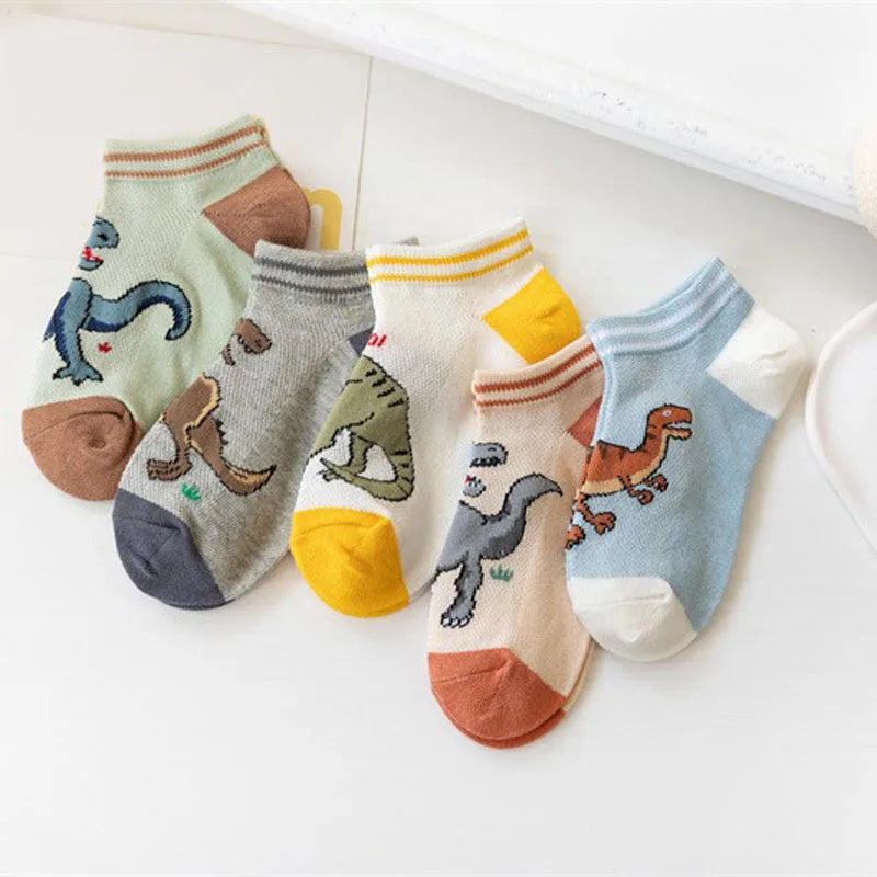 Boys dinosaur socks size variety display