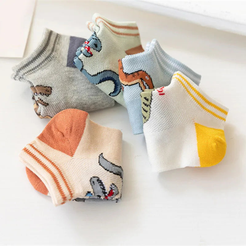 Boys dinosaur socks size variety display