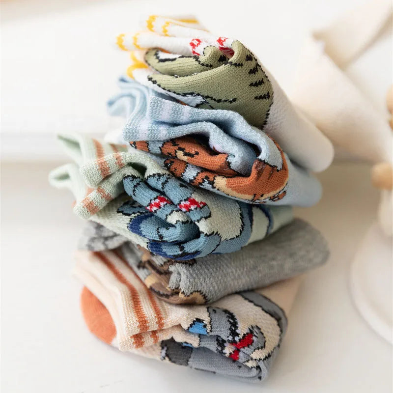 Boys dinosaur socks size variety display