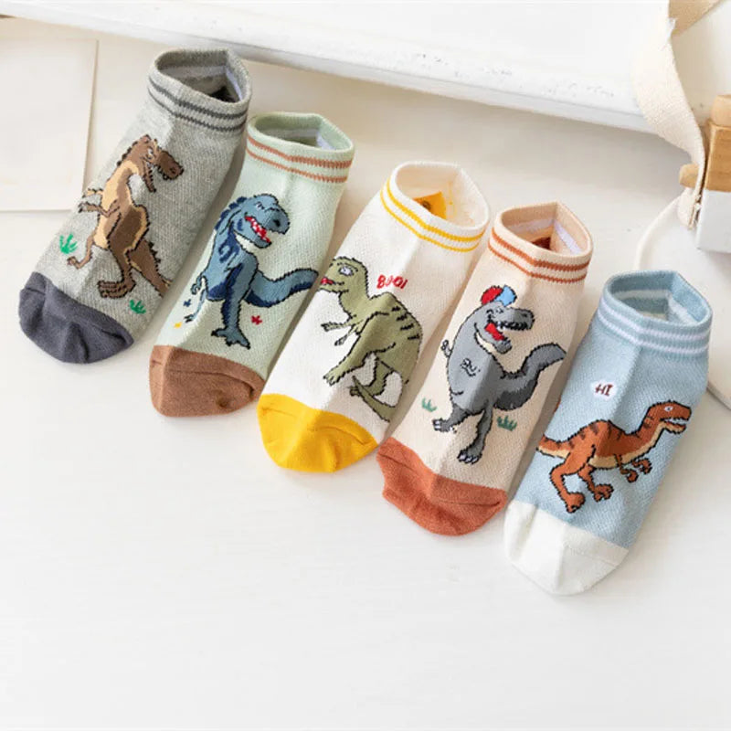 Boys dinosaur socks size variety display