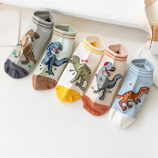 Boys dinosaur socks size variety display