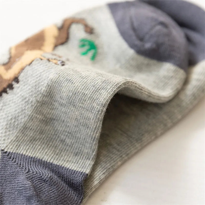 Boys dinosaur socks size variety display