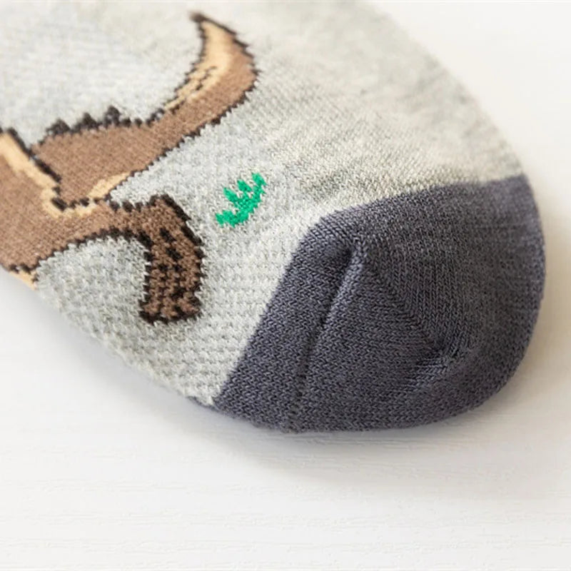Boys dinosaur socks size variety display
