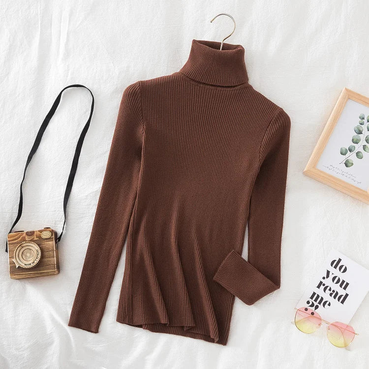 Soft turtleneck sweater front view brown